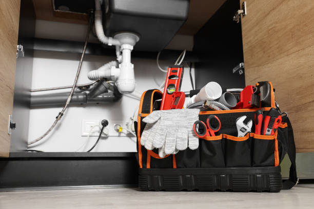 Best Clogged Drain Plumber  in La Mesa, CA